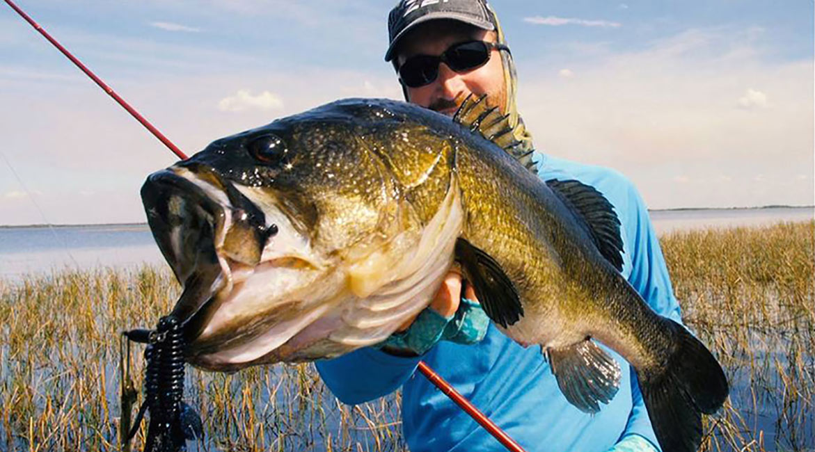 3 Underrated Bass Baits to Catch Winter Fish – MONSTERBASS