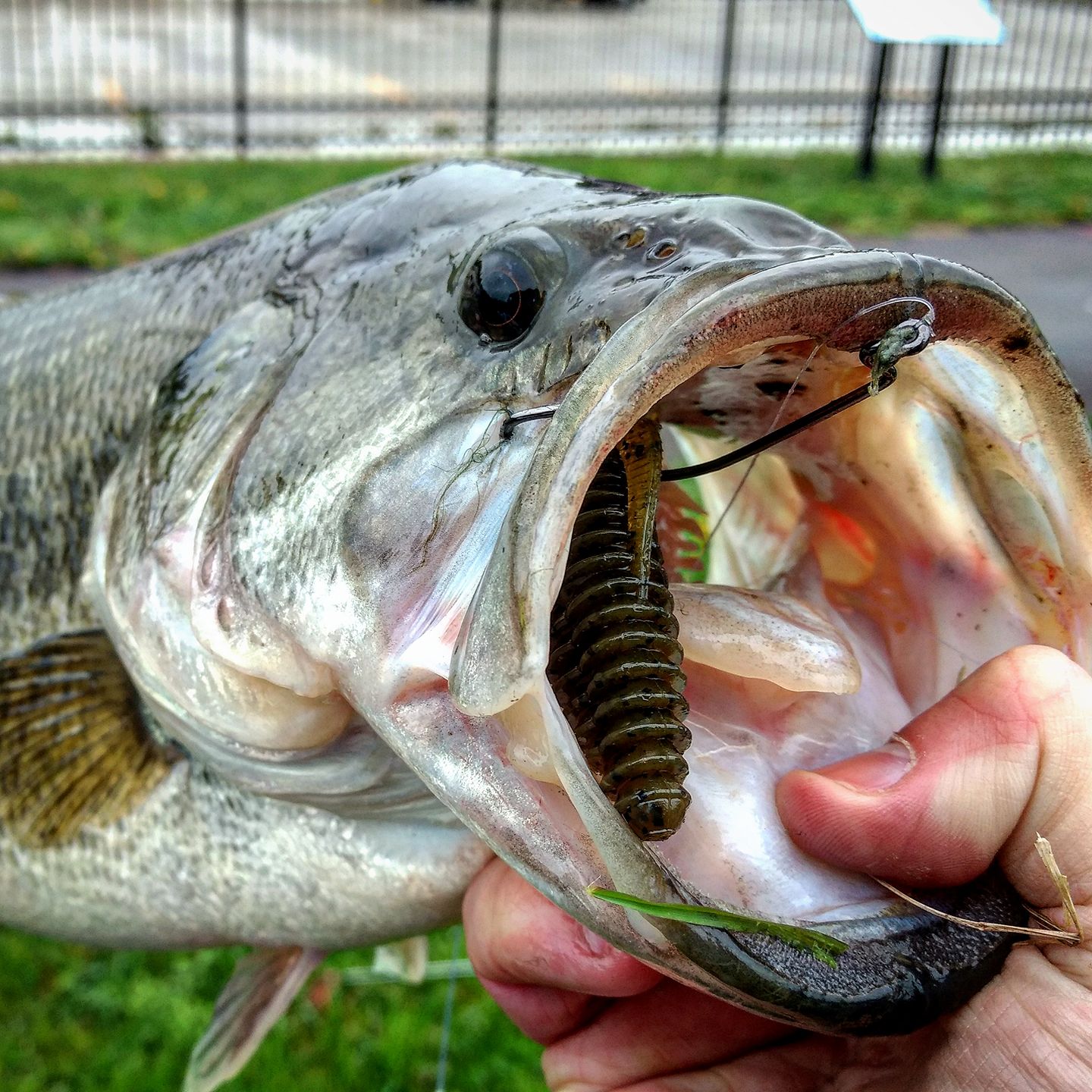 best bass lure kits Lake Pro Tackle Complete Fishing Kit This all Free Rig Bass Lure Setup