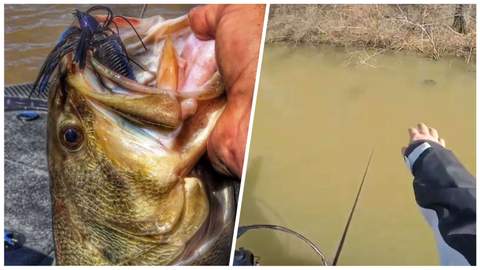 Bass Fishing in Muddy Water? Here's everything you need to know. –  MONSTERBASS