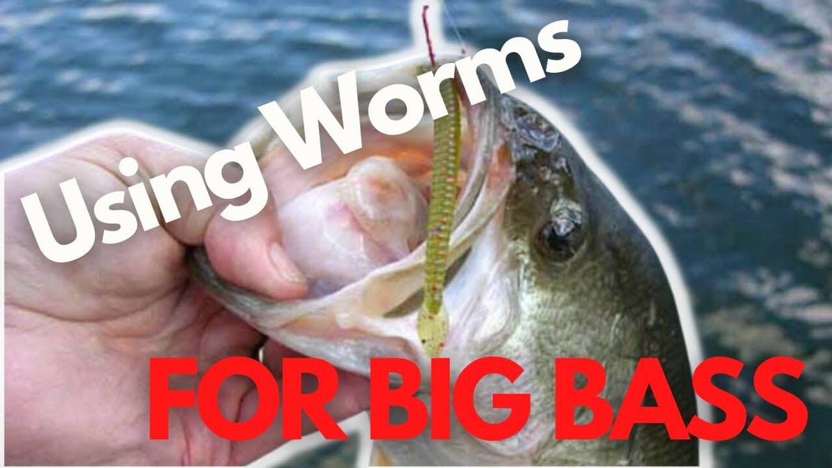 Best Tips for Fishing Rubber Worms for Late Season Bass – MONSTERBASS