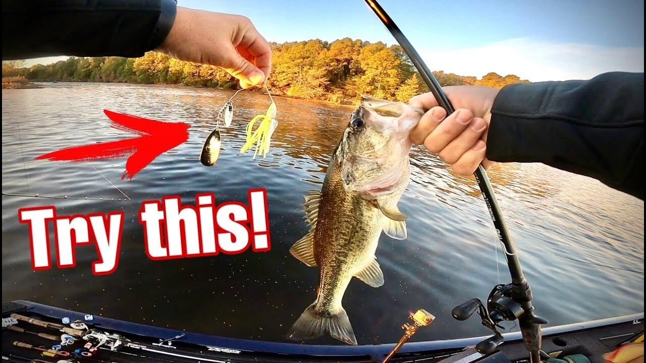 How to Fish Spinnerbaits in Cold Weather – MONSTERBASS