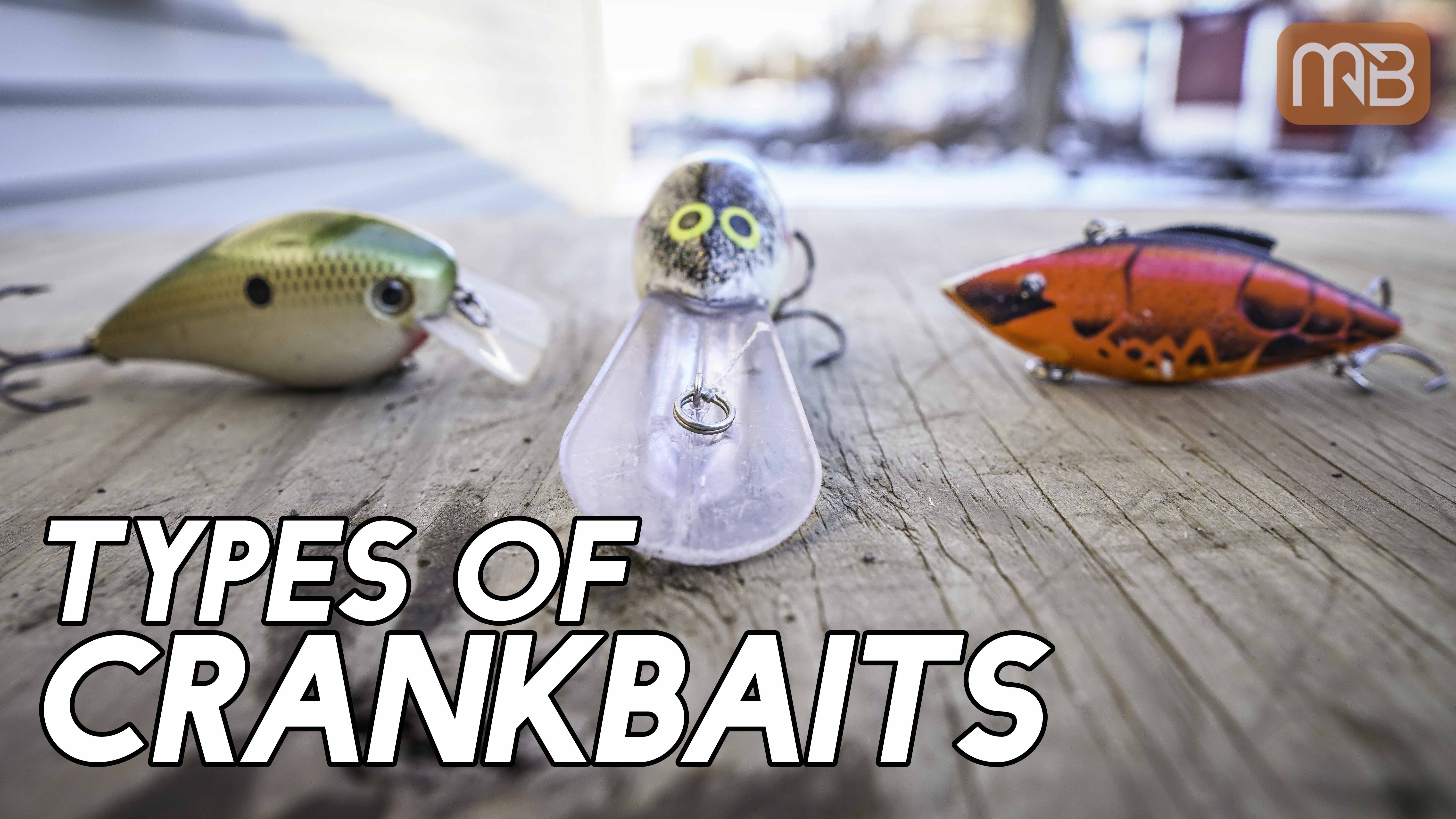 3 Types of Crankbaits for Bass Fishing – MONSTERBASS