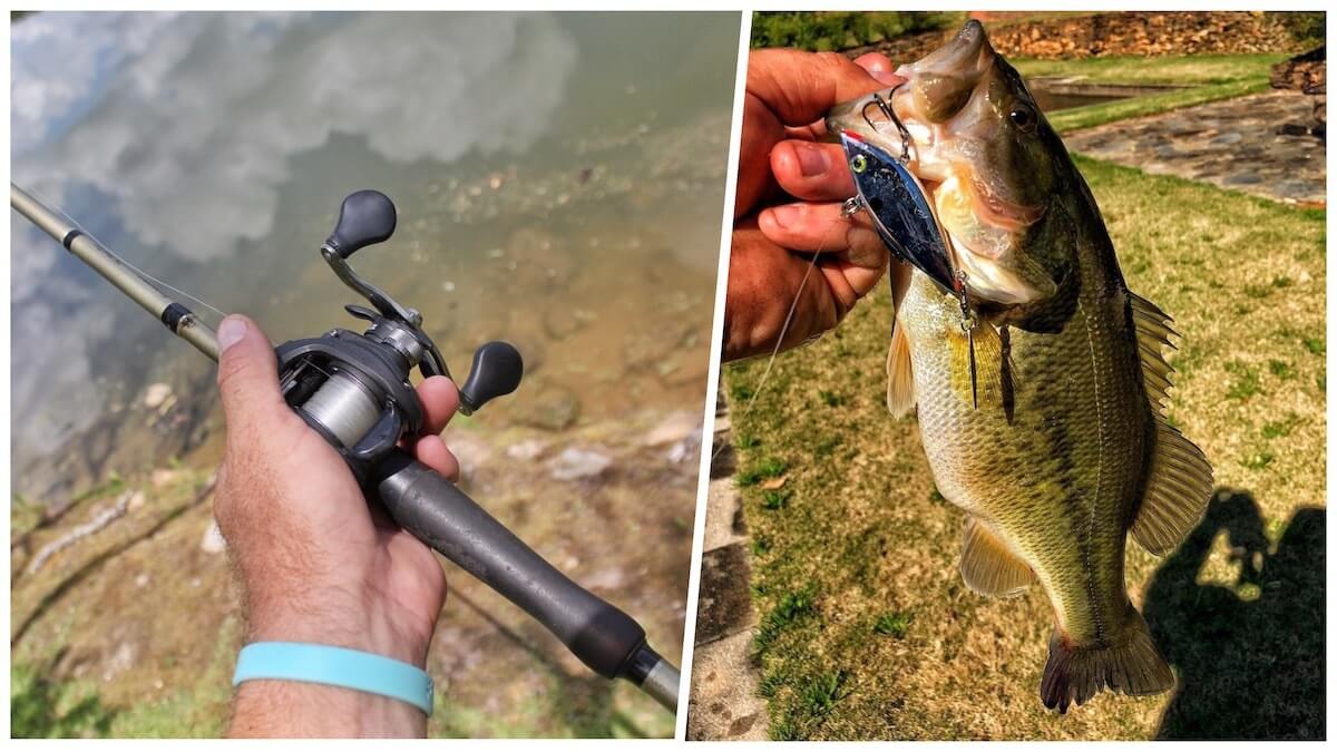 Bank Fishing MONSTERBASS Bank Fishing MONSTERBASS