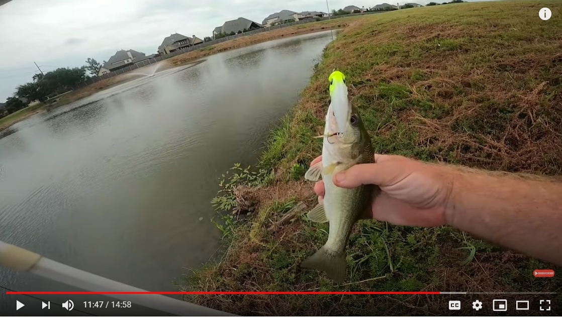 How To Fish A Popper Topwater Blow Ups! MONSTERBASS