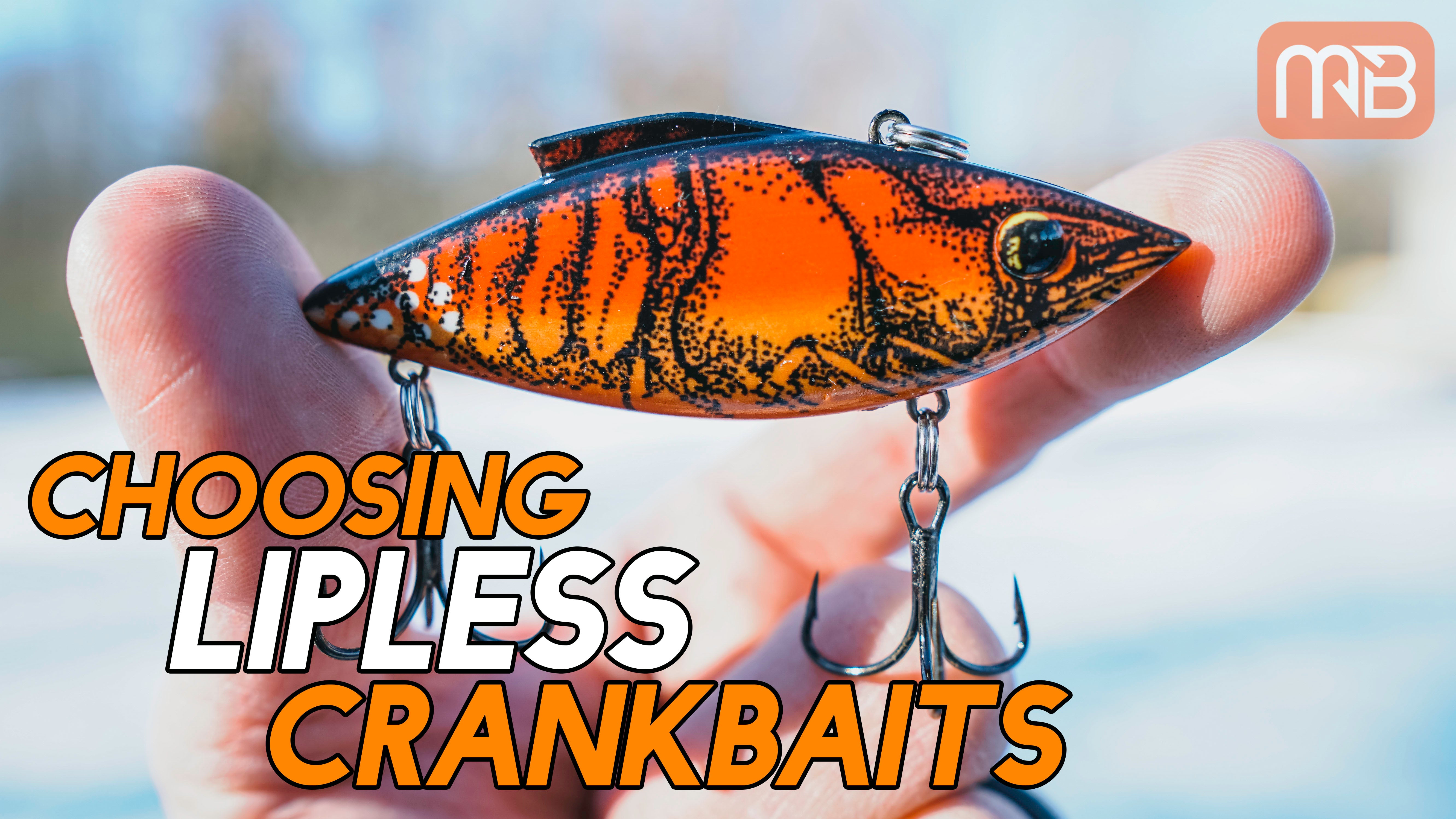 Choosing the Right Soft Plastic Color – MONSTERBASS