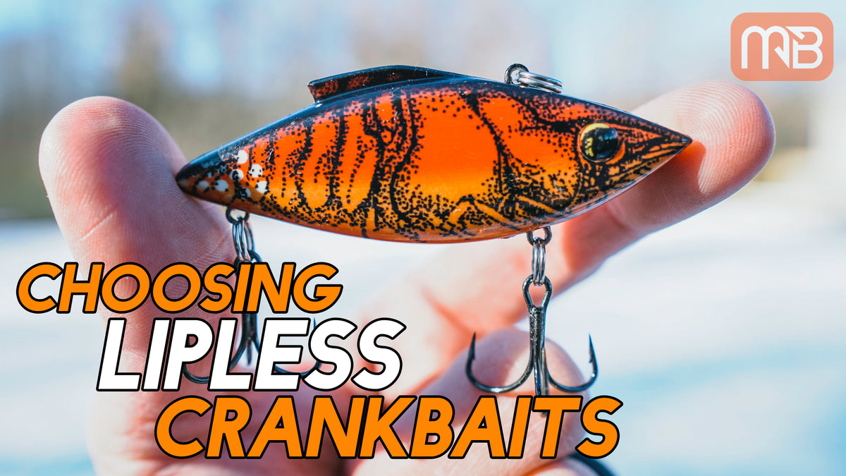 Choosing Lipless Crankbaits (Best Colors and Baits