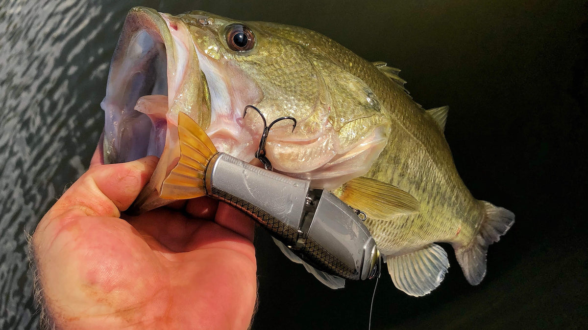 What do you generally find to be the best way to add weight to a glide bait  to keep it from coming out of the water? - Fishing Tackle - Bass Fishing  Forums