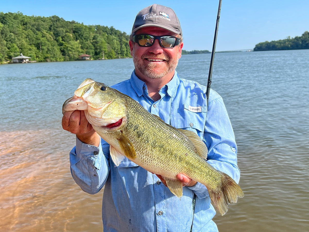 Catching Summer Bass on the Carolina Rig – MONSTERBASS