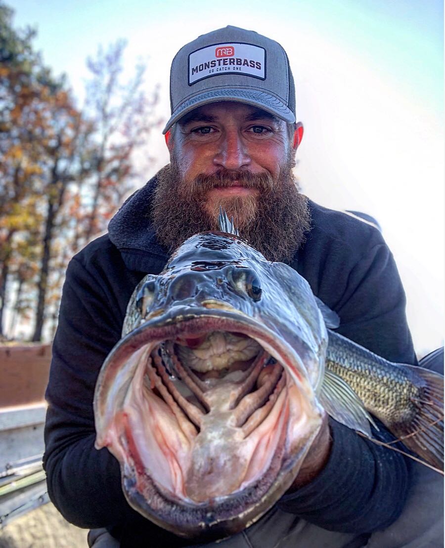 3 Great Winter Bass Baits You're Not Fishing  MONSTERBASS