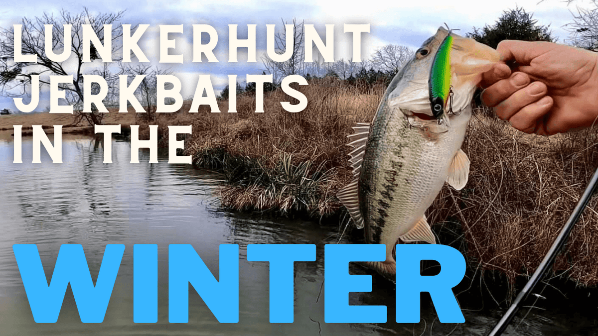 Jerkbait Tips for Catching Winter Bass – MONSTERBASS