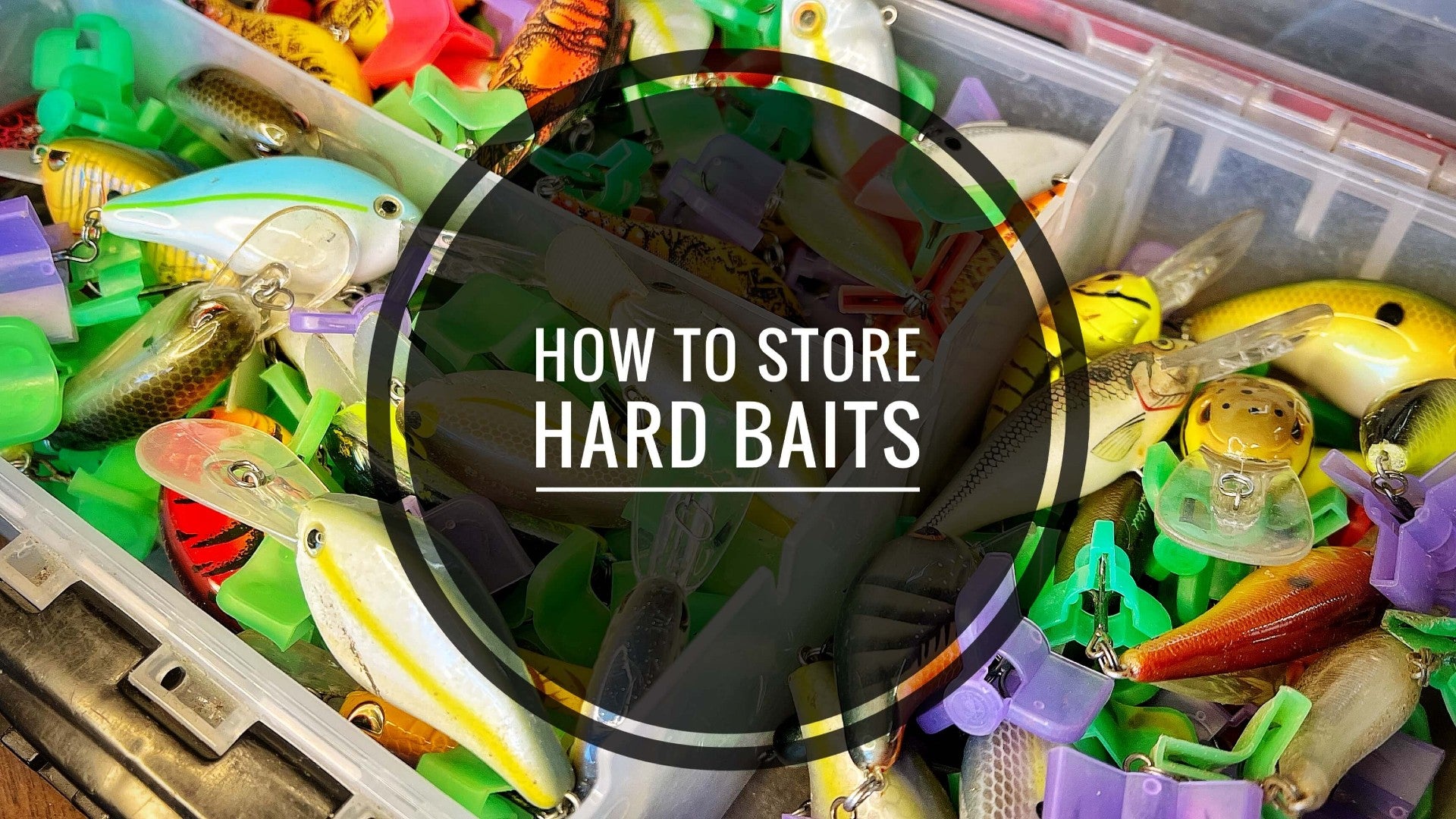 Baiting All — Bait Tackle Store