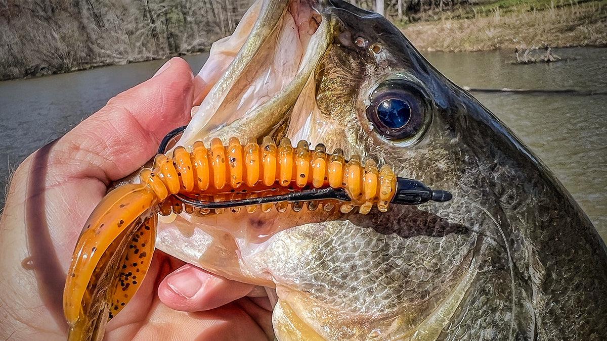 Five Soft Plastics for Wintertime Fishing MONSTERBASS Five Soft Plastics for Wintertime Fishing MONSTERBASS
