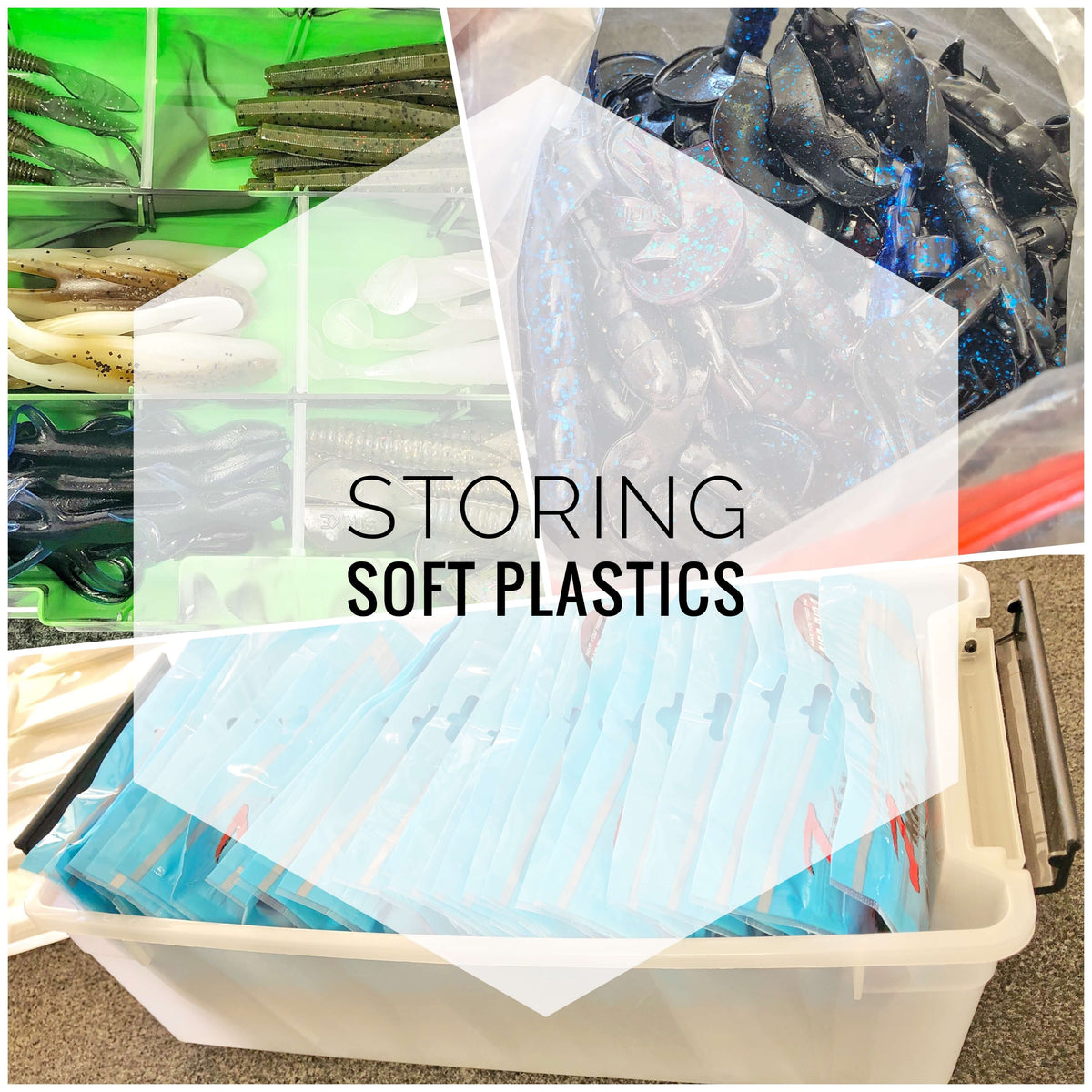 Efficient Soft Plastics Organization Solution