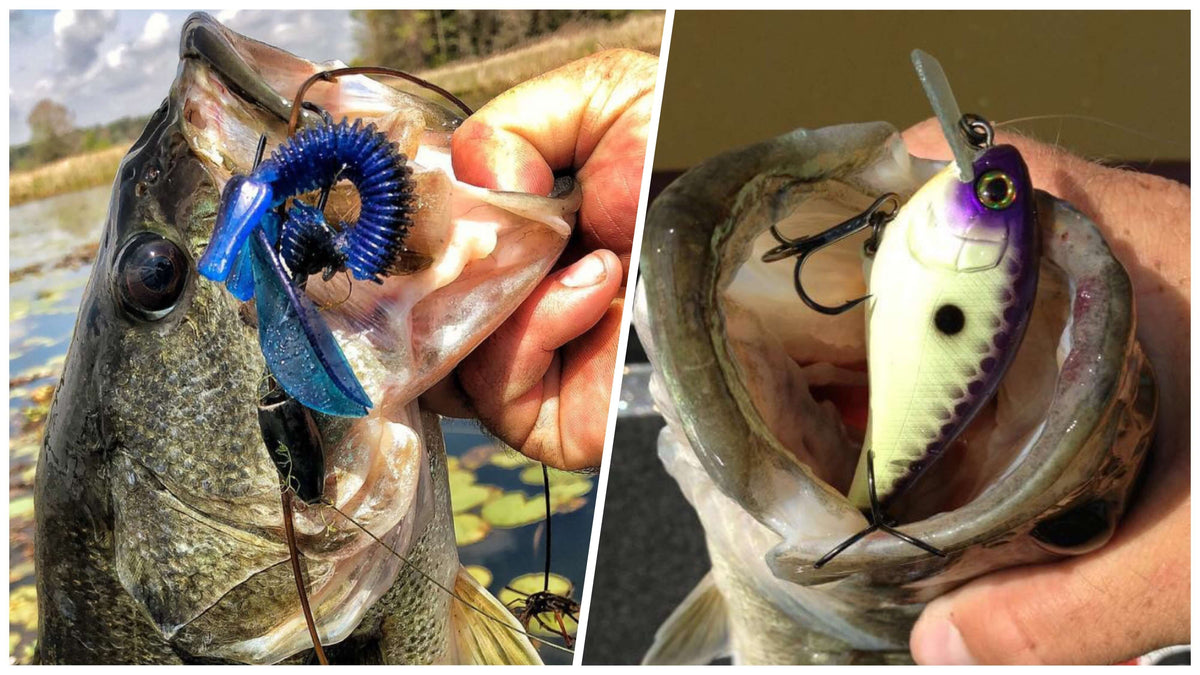 The Best Lures For Catching Bass In Ponds: Baits That Work, 47% OFF
