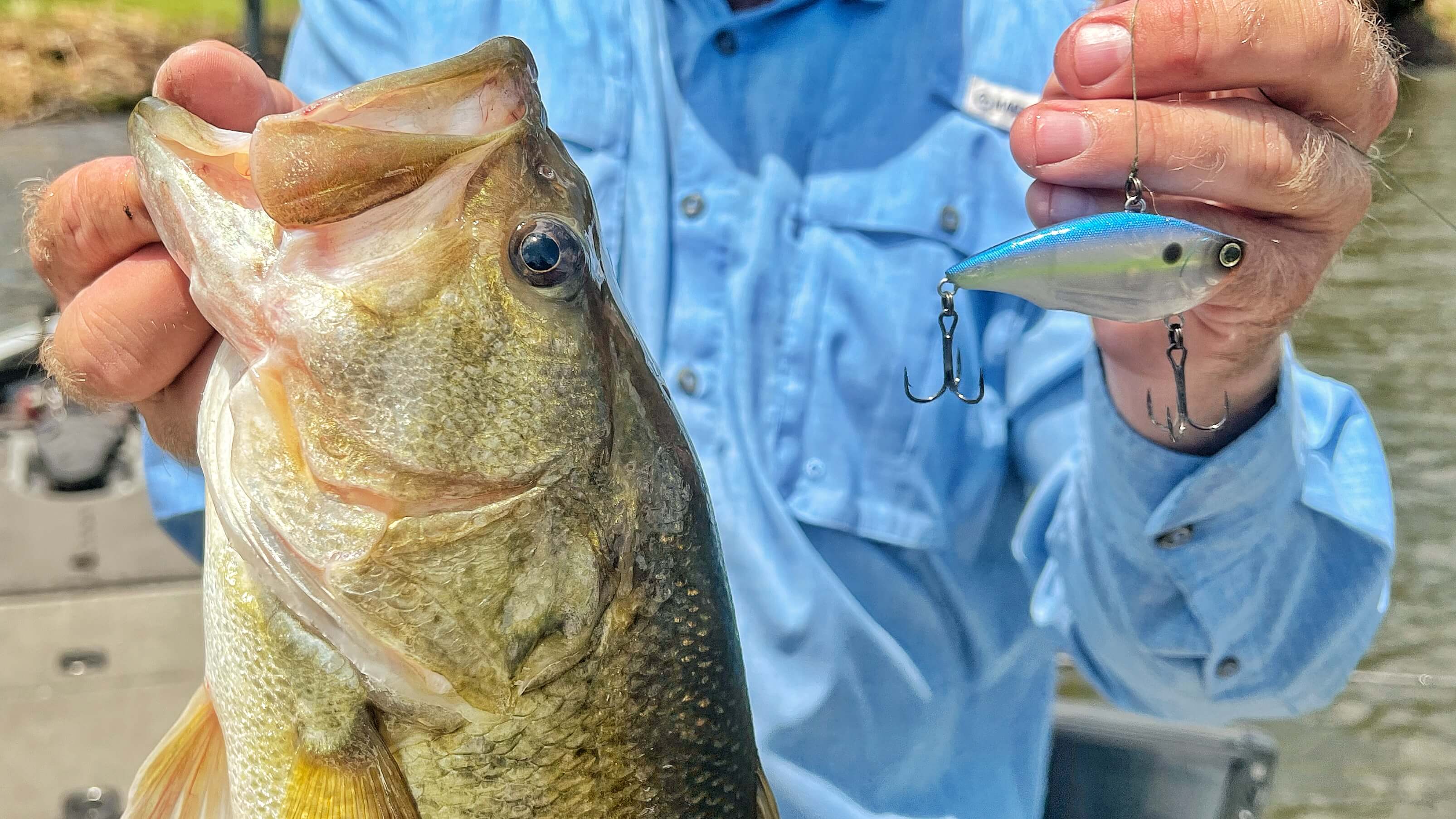 Rattle Your Way To More Prespawn Bass