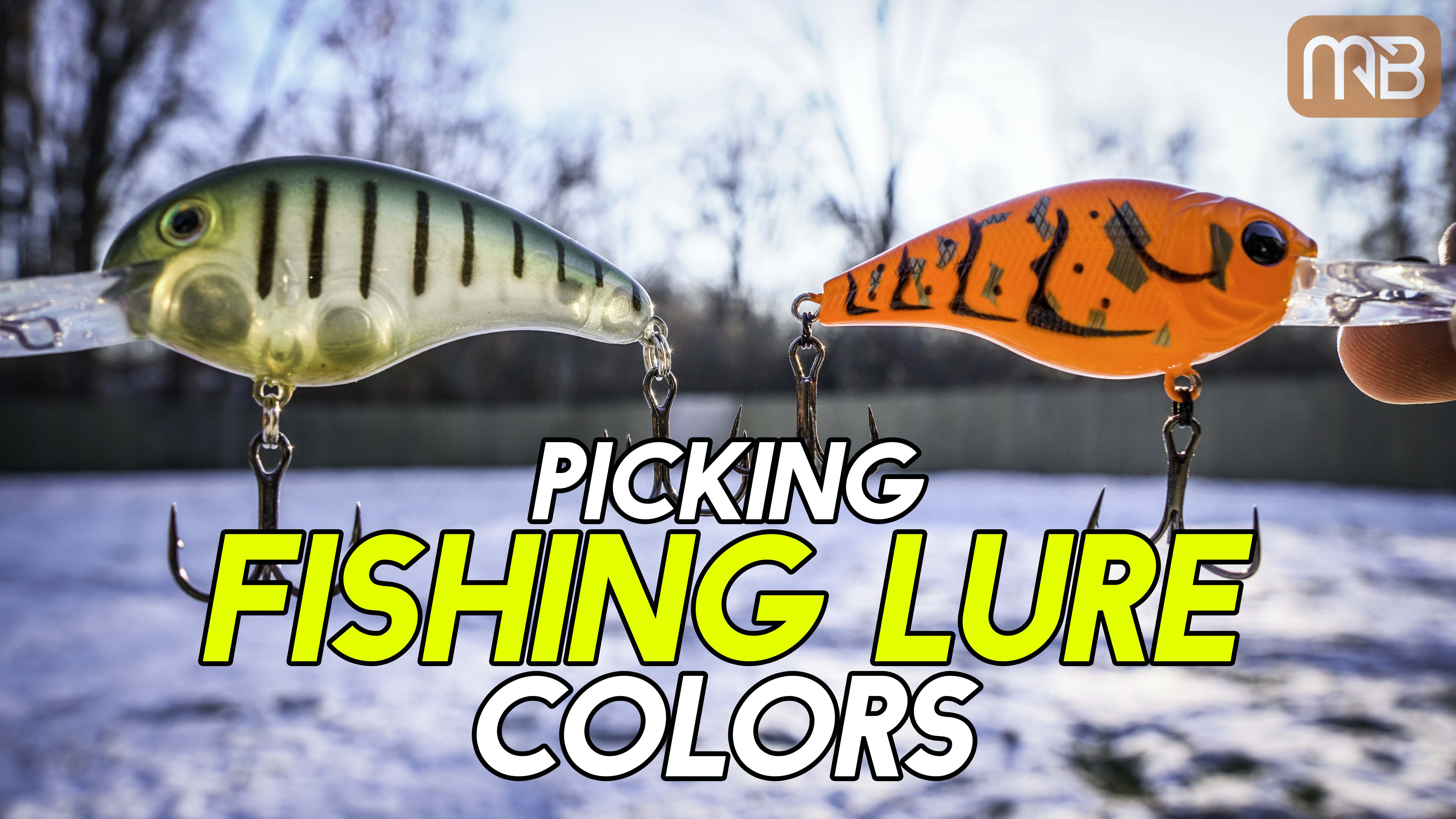 How to Choose Bait Color Based on Water Clarity, Fishing Techniques