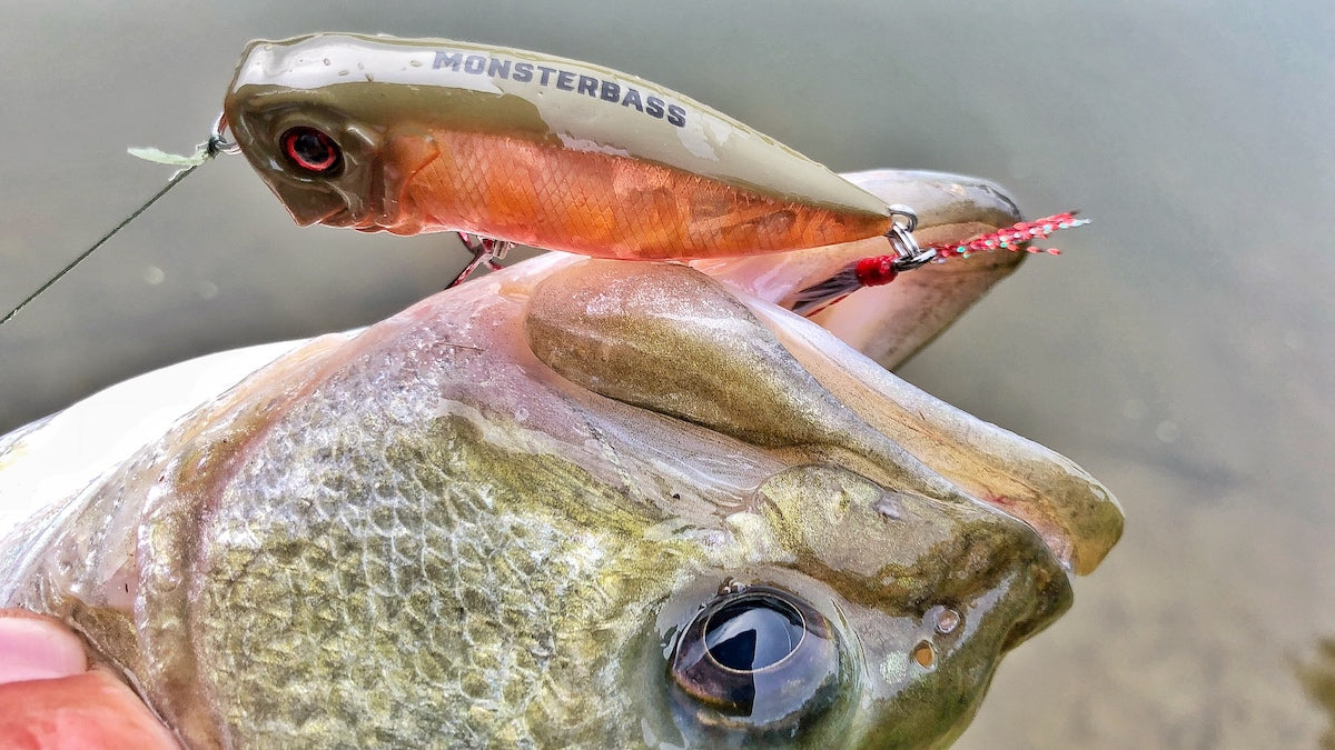 Tips For Fishing BIG TOPWATER Poppers For Summer Bass 