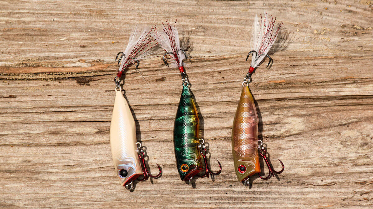 Video: How to Fish a Bass Popper for Maximum Effect - Orvis News