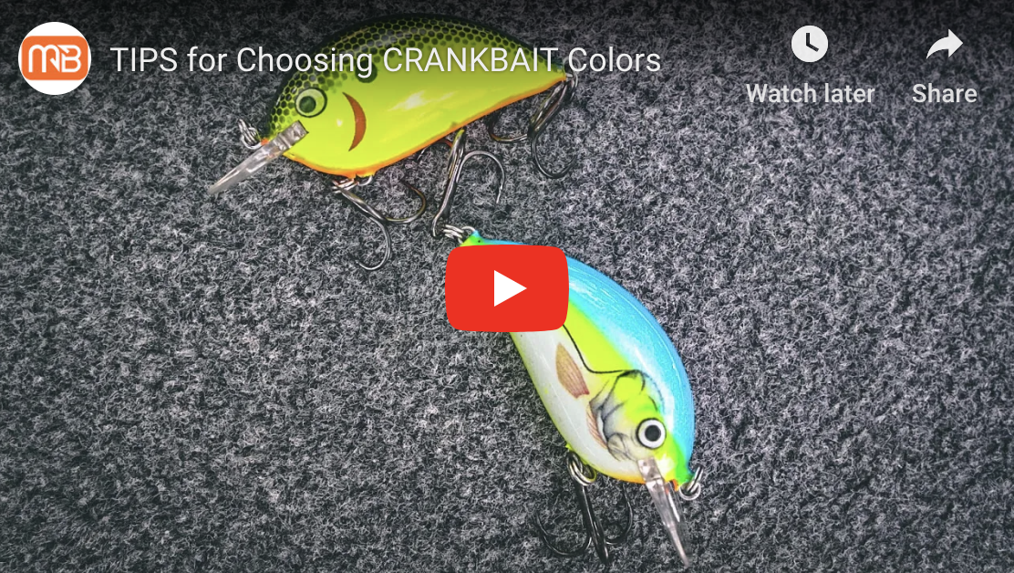 Tips For Choosing The Best Crank Bait Colors For Catching Monster