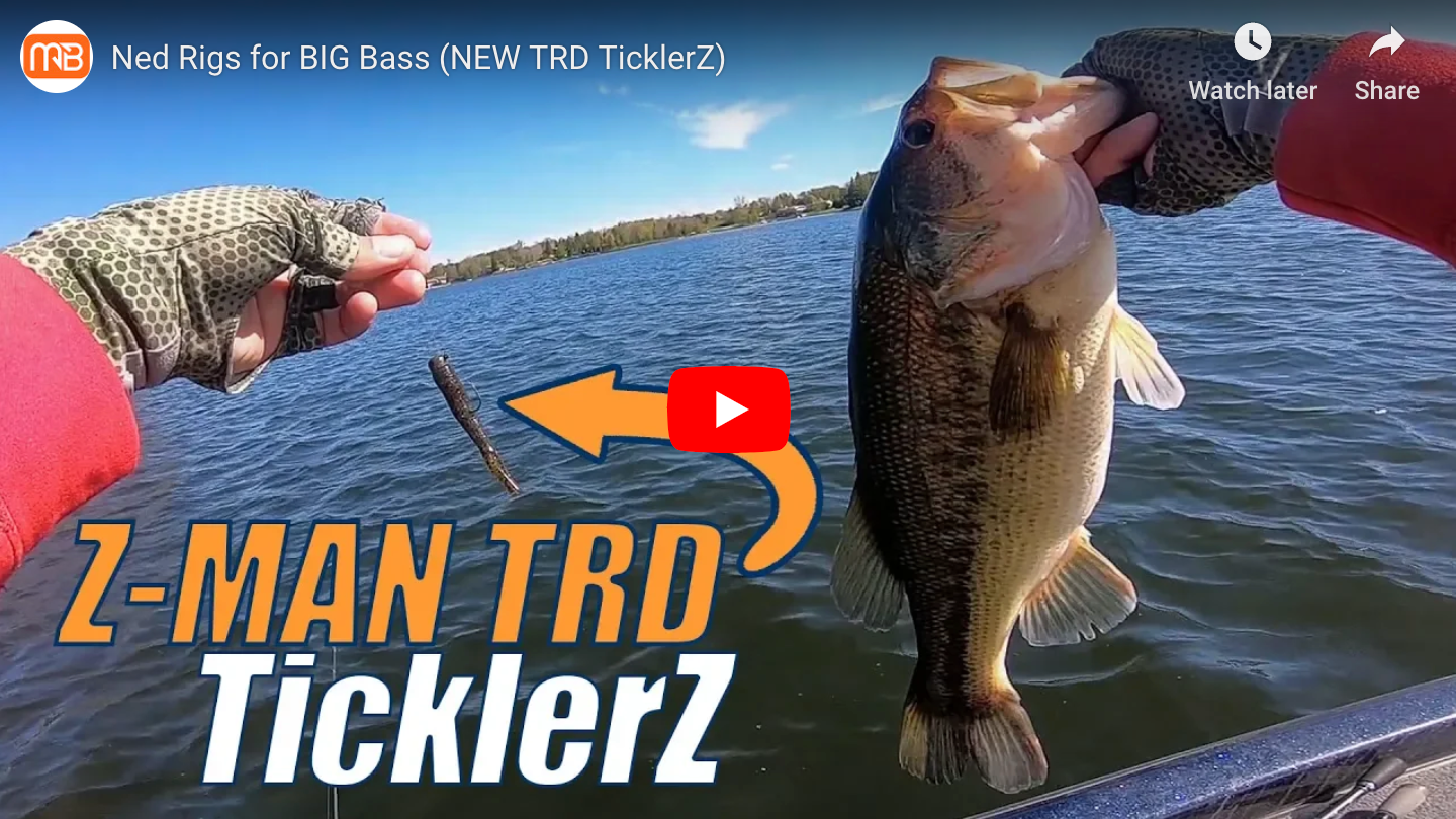 bass lure rzr trd Z-Man Bugz a remarkable soft plastic Ned Rig Ned Rigging the Z-Man TRD
