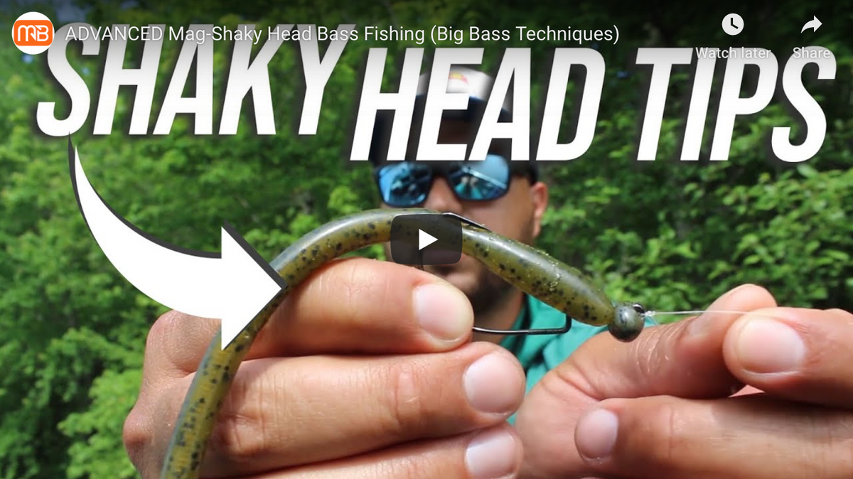 Shaky Head Fishing Tips For Catching Big Bass – MONSTERBASS