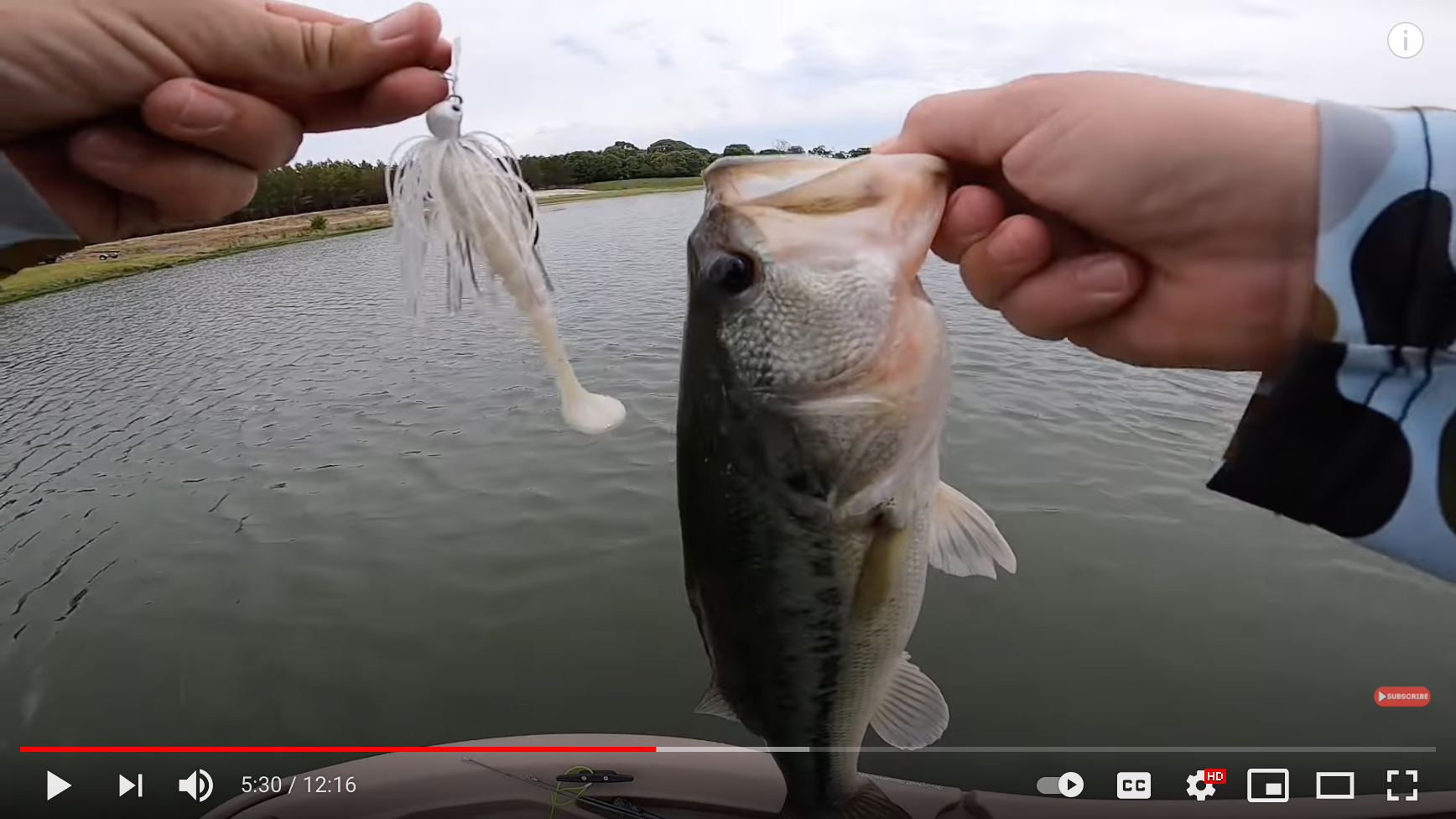 All About Bladed Jigs  Bass Fishing Tips – MONSTERBASS