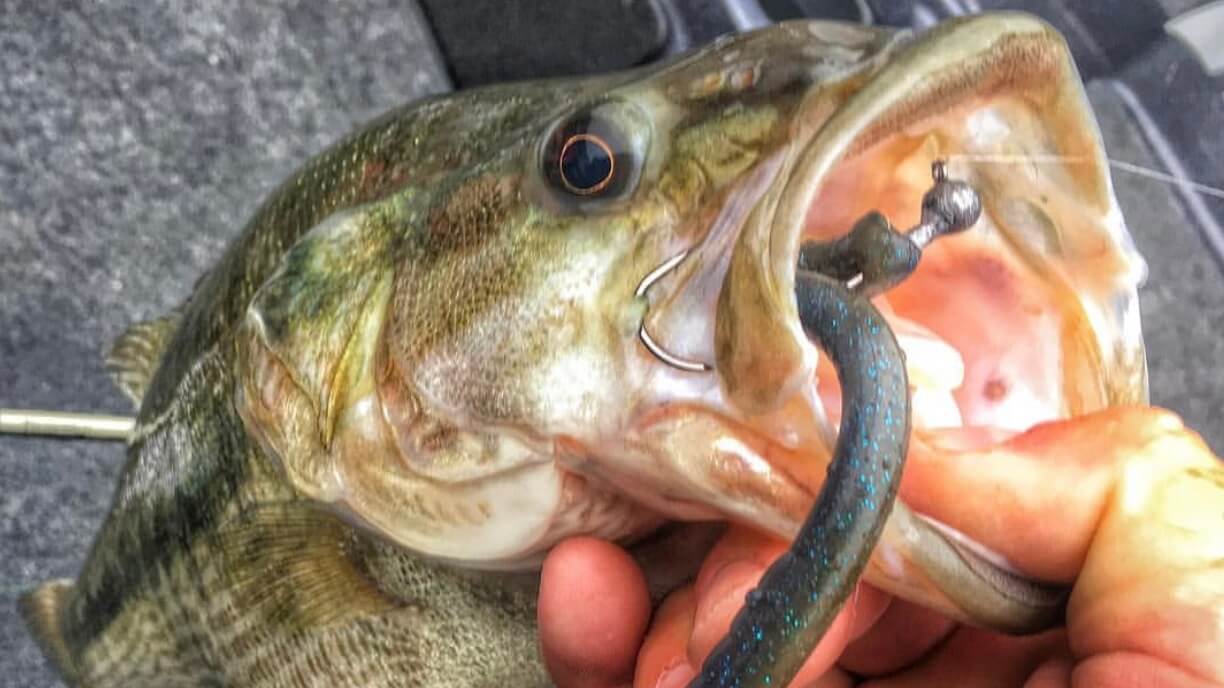 Time to tie on a shaky head jig for North Alabama bass 