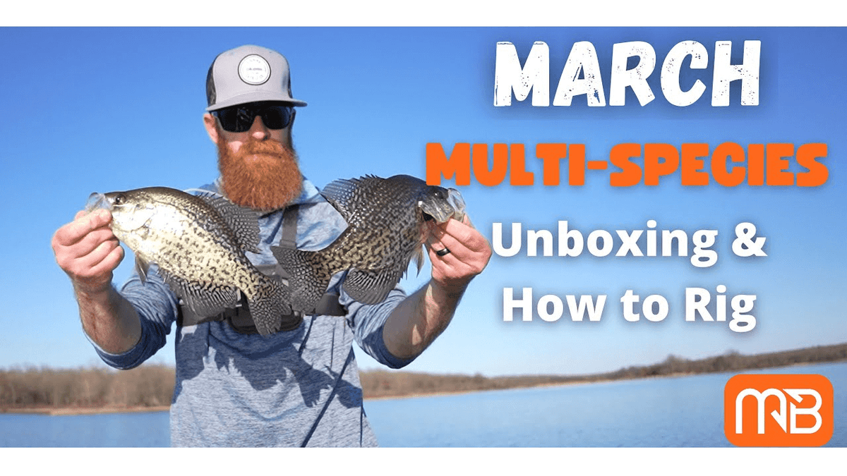 Unpacked: How To Rig And Fish Every Bait in the March Multi