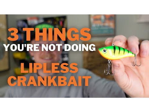 Lipless Crankbait Fishing: 3 Things You Need to Know – MONSTERBASS