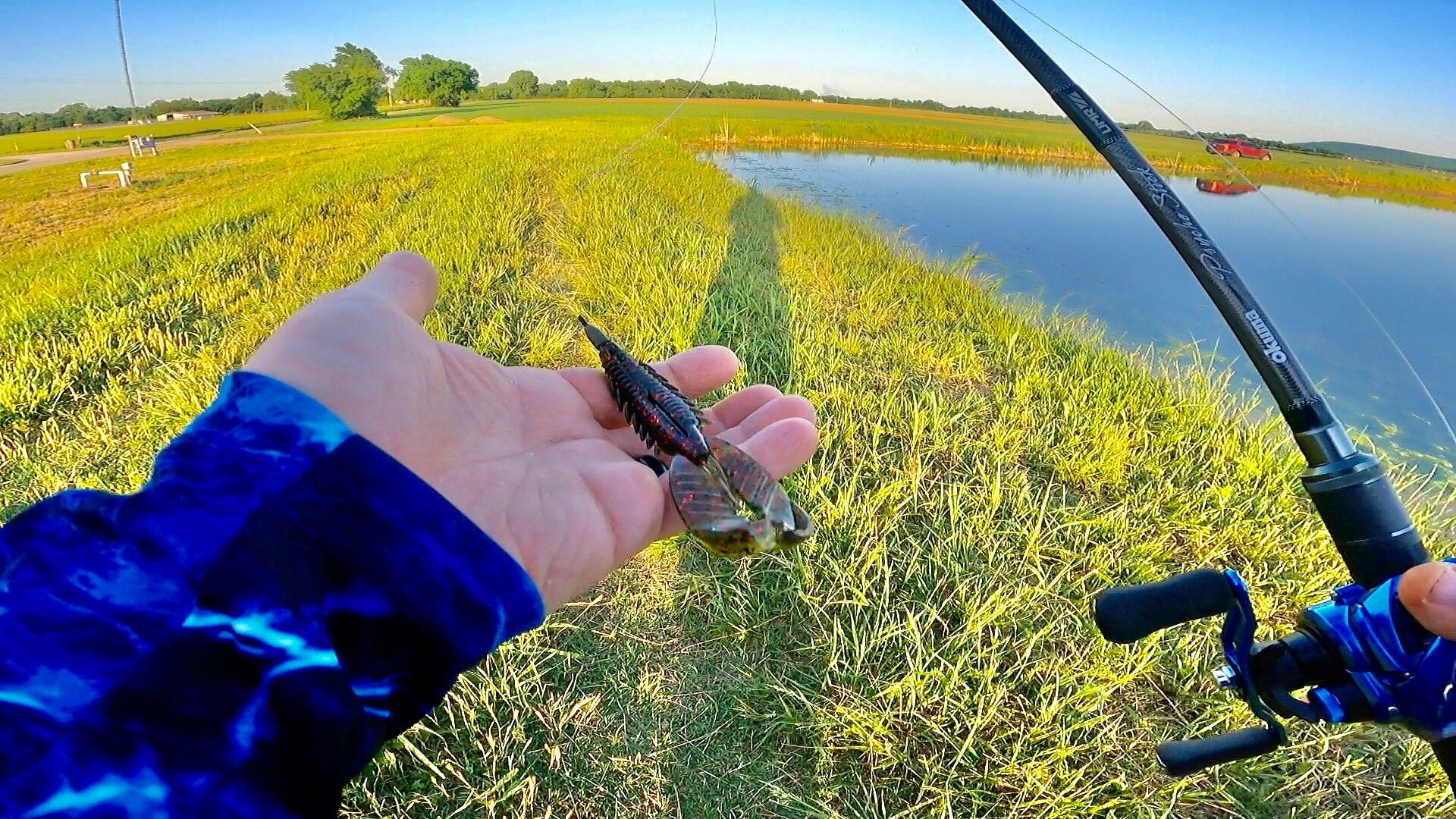 Texas Rig  The Best Weedless Rig? – MONSTERBASS
