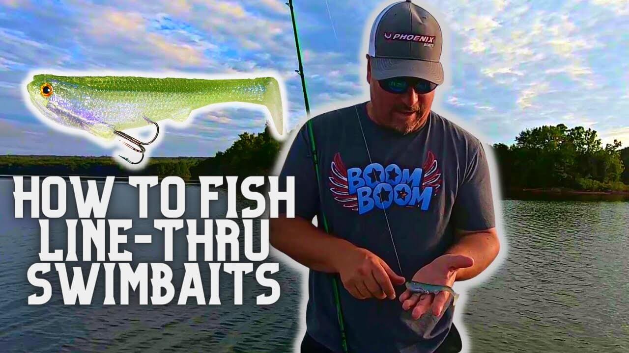 How To Fish A Line-Thru Swimbait With Fred Roumbanis – MONSTERBASS