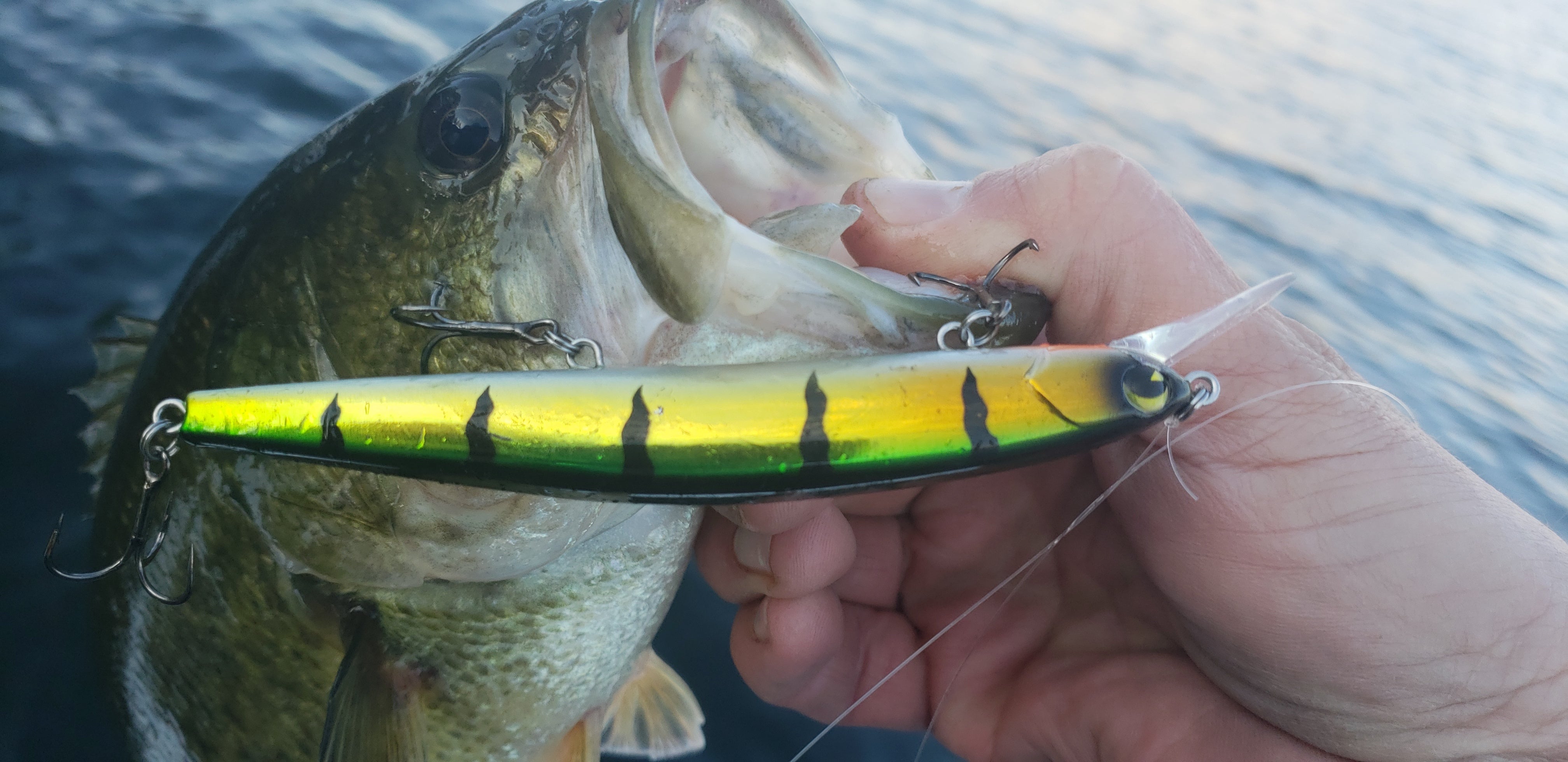 Spinnerbaits: How To Choose the Right One for Bass Fishing – MONSTERBASS