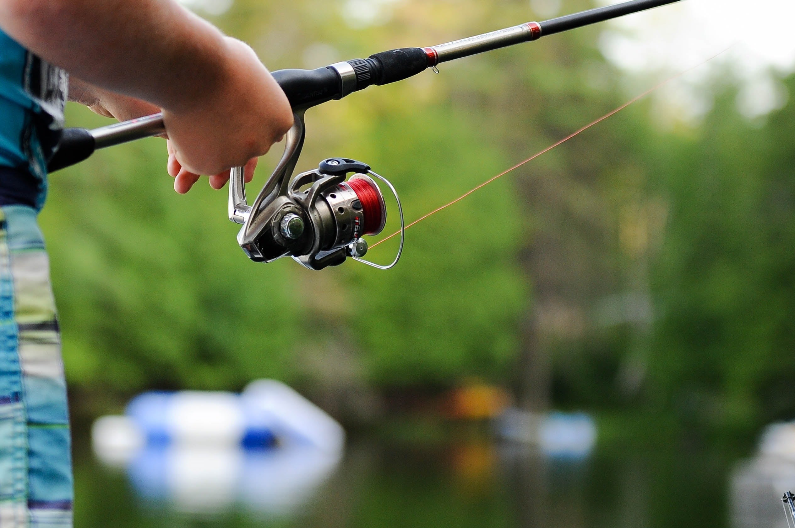 Lipless Crankbait: Everything You Need to Know To Catch More Fish