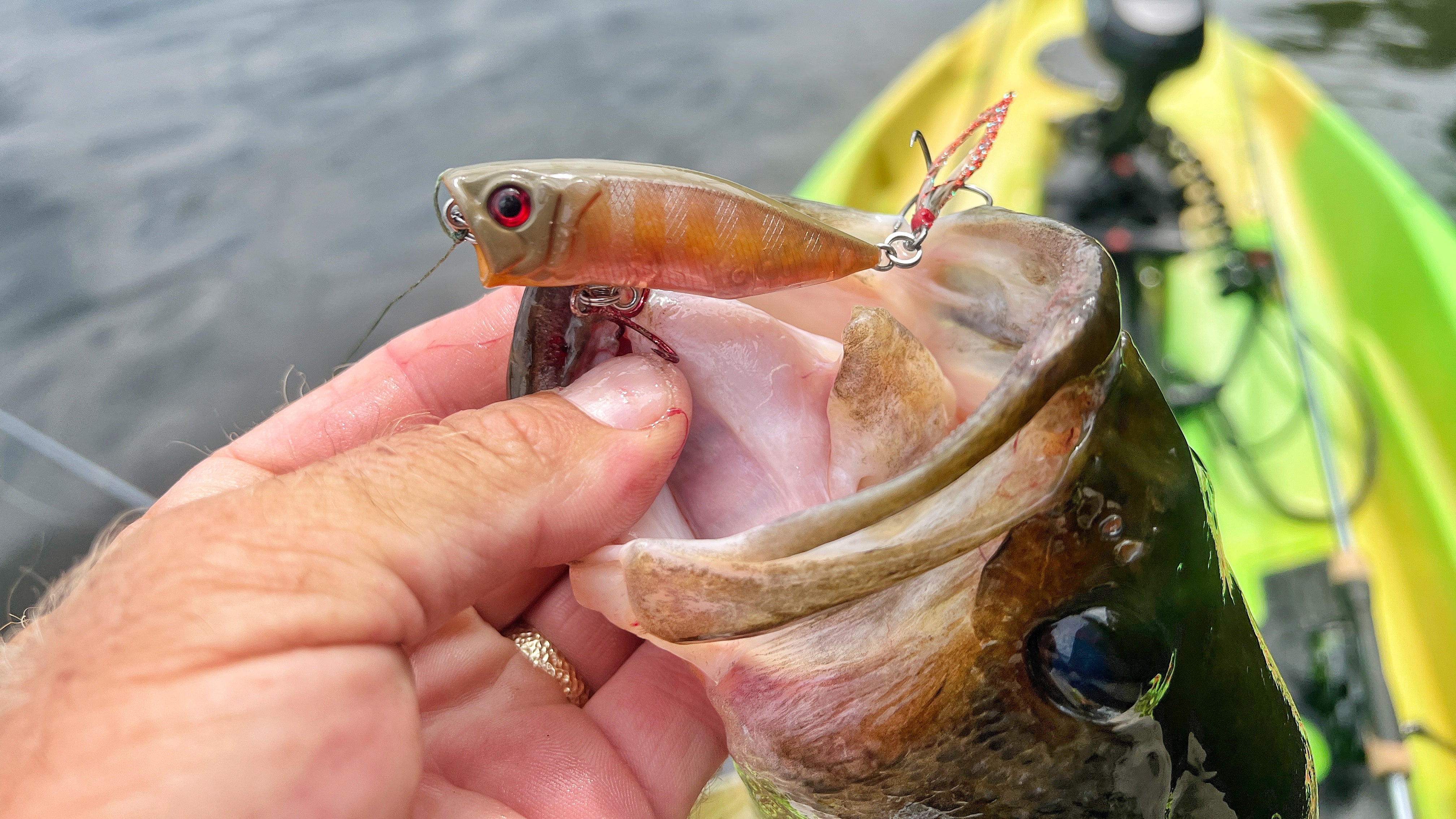 bass bream color pop lure OB-68 Evergreen Baits Its an excellent choice when fishing anywhere a bigger target can lead to bigger bites A Popper for 3 Seasons