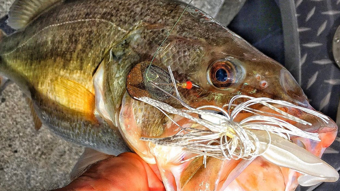 kastking rod versus st croix rod St. 2025 Musky X Casting Rods MXFG90XHF Color:HD Golden Shiner-DC freshy mold Cat Daddy Spinning Combos Split rear handles are