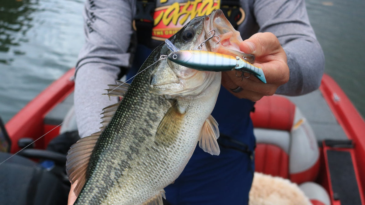 How To Choose the Right Crankbait – MONSTERBASS