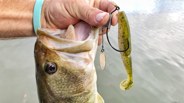 The Truth About Swimbaits And Their Ability To Catch Bass