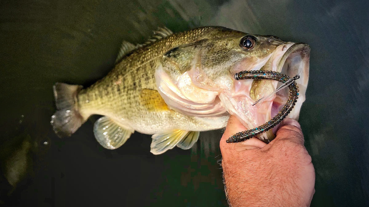 3 Baits to Fish Shallow During the Post Spawn – MONSTERBASS