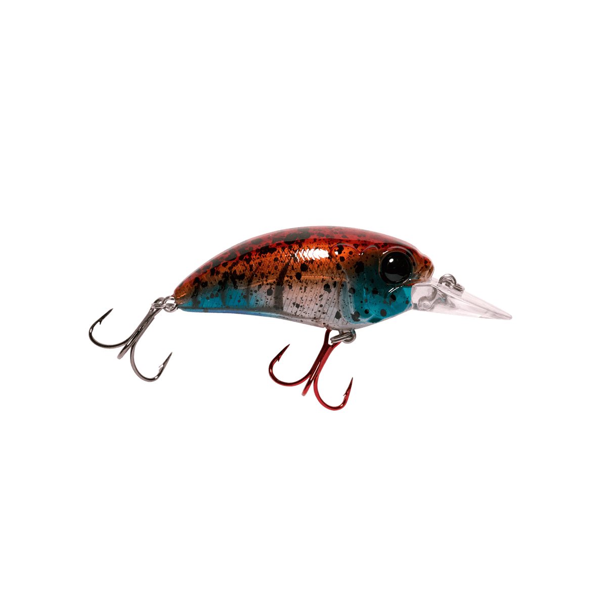 Seeker 6 Medium Diving Crankbait for Bass – MONSTERBASS