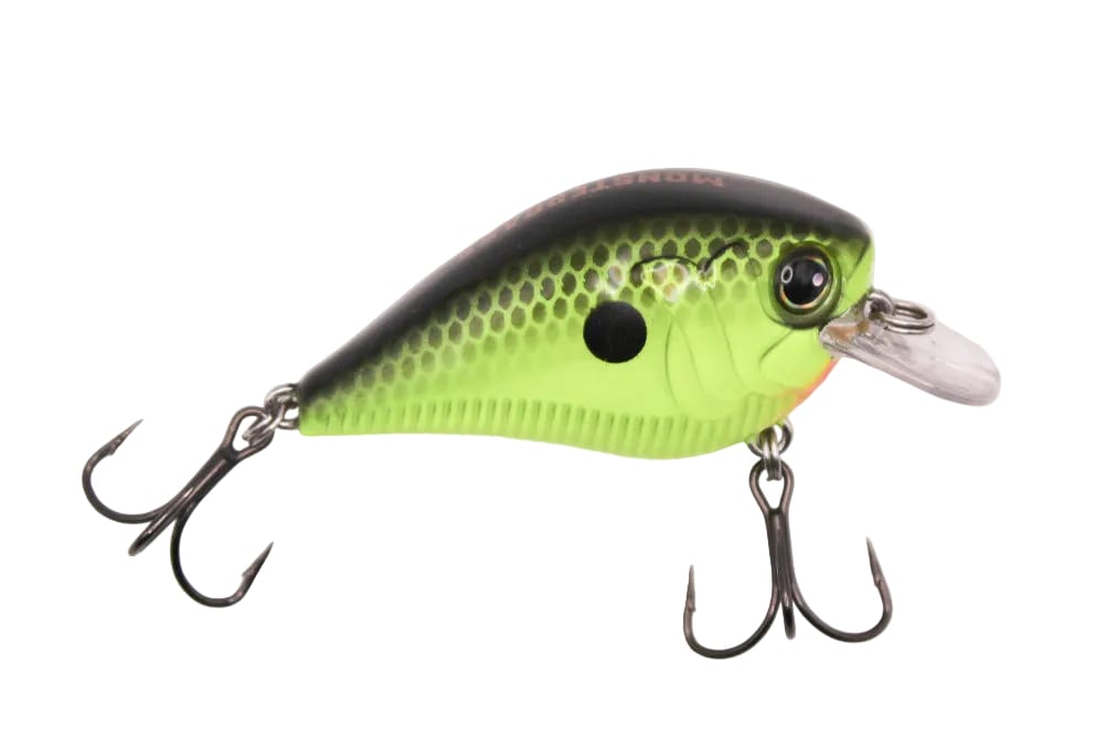 Little Banger Charteuse Black Back