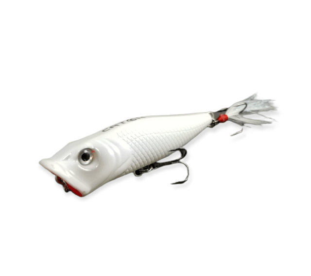 http://monsterbass.com/cdn/shop/products/custom-lures-unlimited-tackle-bundle-mach-popper-6-pack-32734171070629_1200x1200.png?v=1670934213
