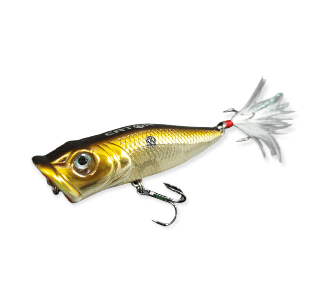 Promotional Fish Face Popper Lures - Full Color