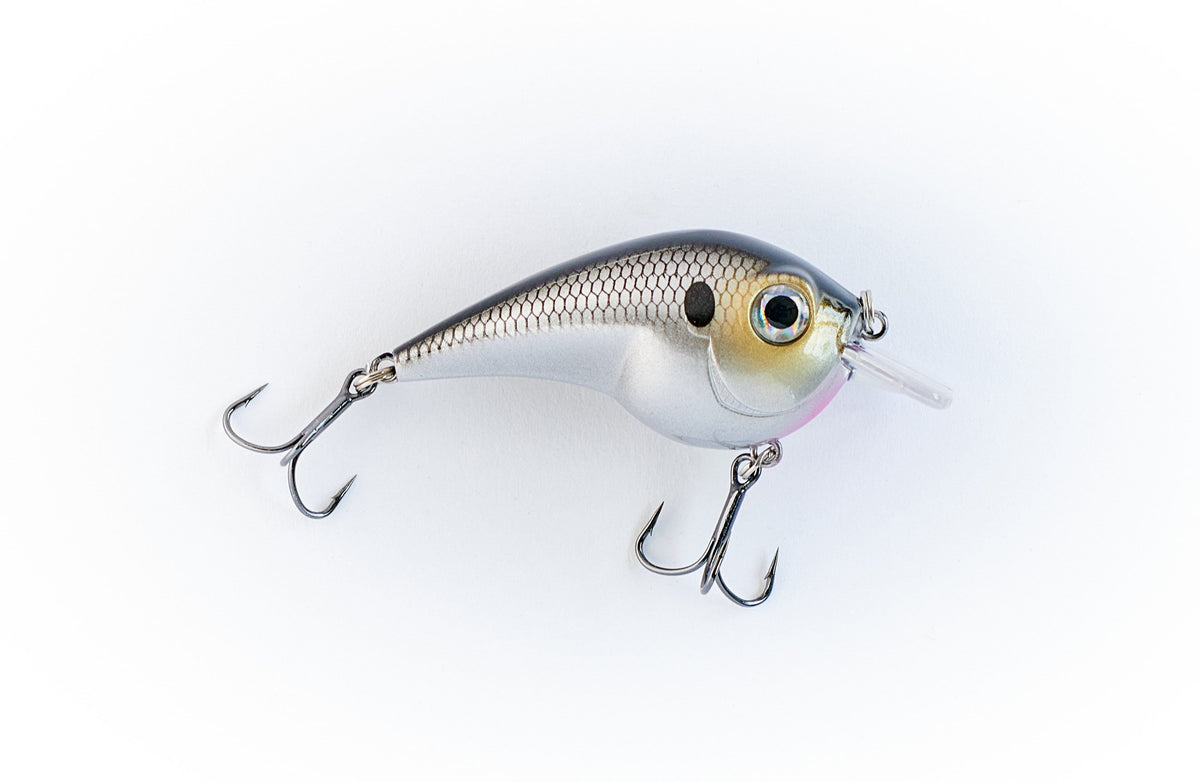 KingFisher Hard Lure Set - Small ◂ The KingFisher