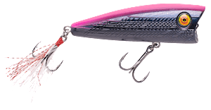 V-Pop 80 Popper – MONSTERBASS