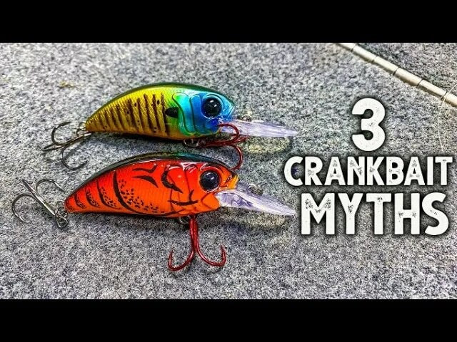 Fall Crankbait Fishing Tips – MONSTERBASS