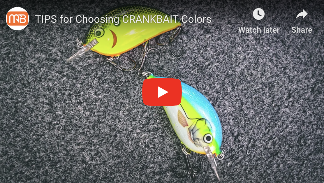 Tips For Choosing The Best Crank Bait Colors For Catching Monster Bass ...