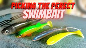 Choosing The Perfect Swimbait – Monsterbass