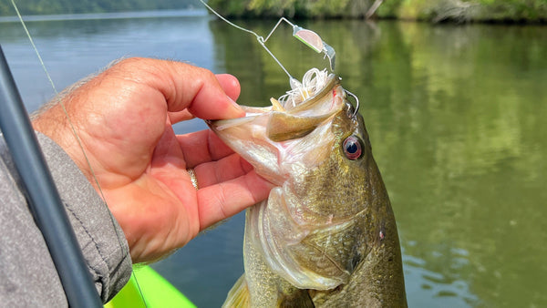 bass fishing with mouse lure FlashTail Field However it also has an incredible side First Look: Lunkerhunt's New Furenzy