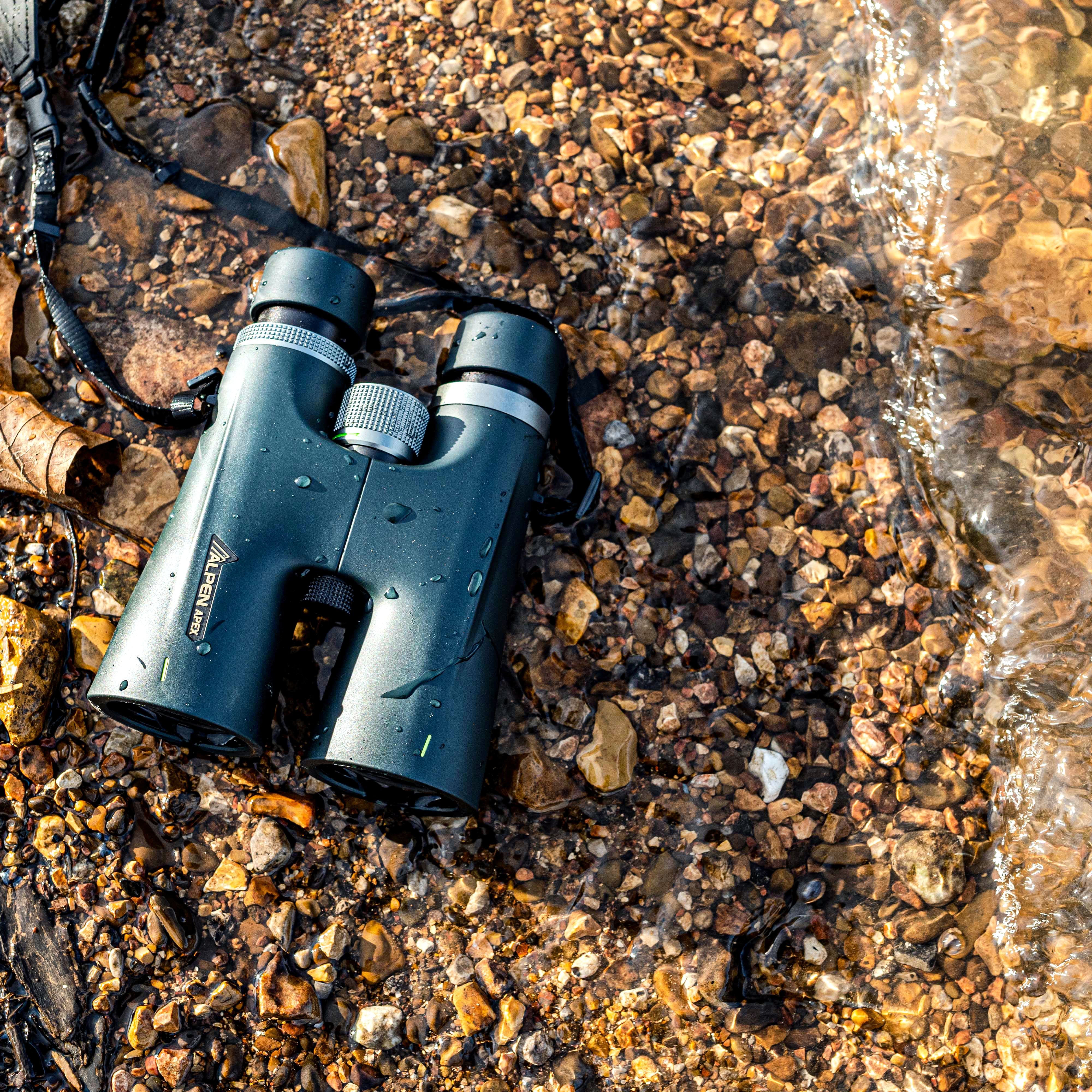 Apex 10x50 Binoculars