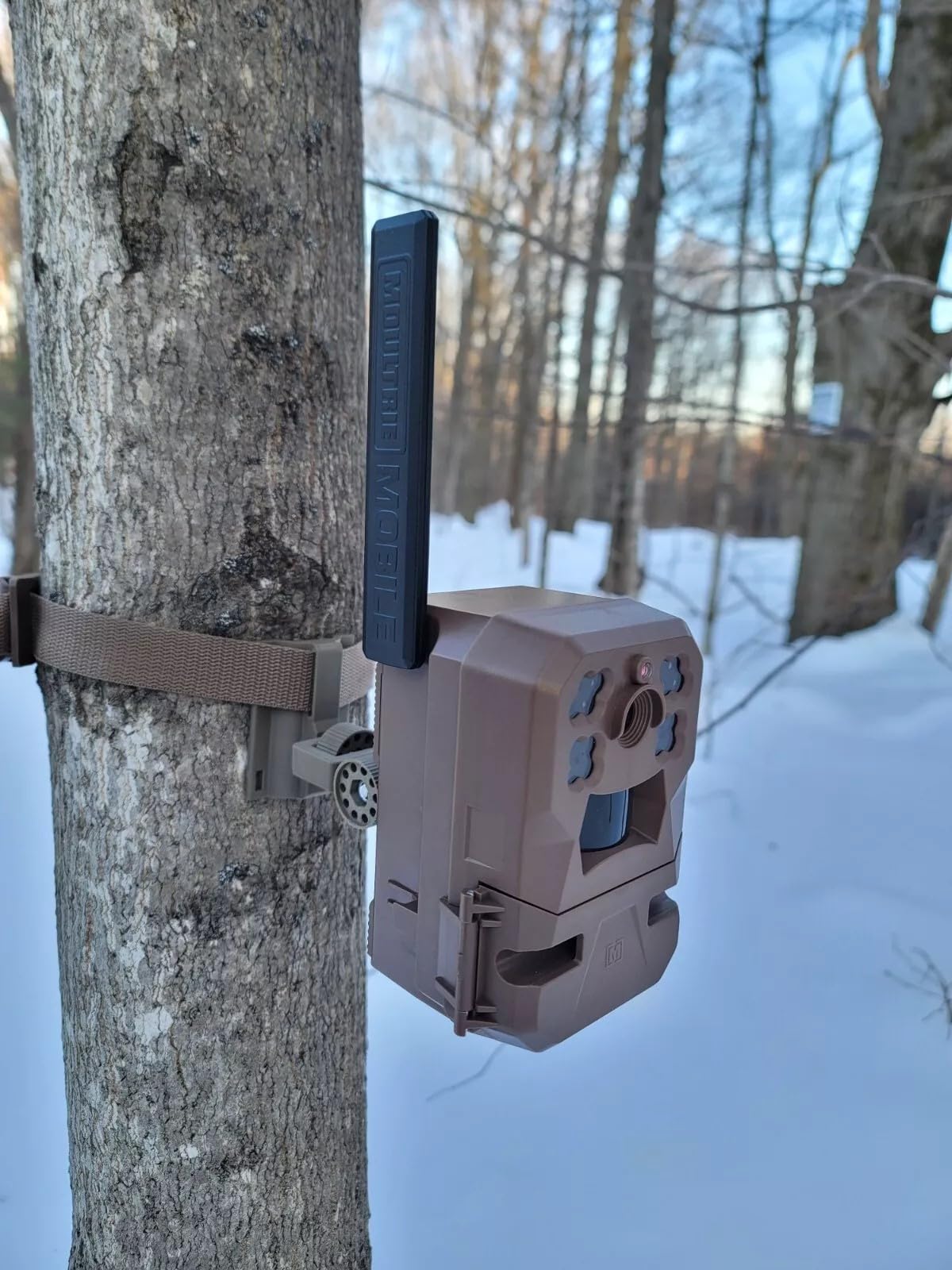 The ADK Edge Tree Trail Camera Mount for Moultrie EDGE, EDGE Pro, 2.0, 3.0 & Solar